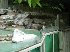 149 BIO PARC DE DOUE LA FONTAINE 5- 2016_000044